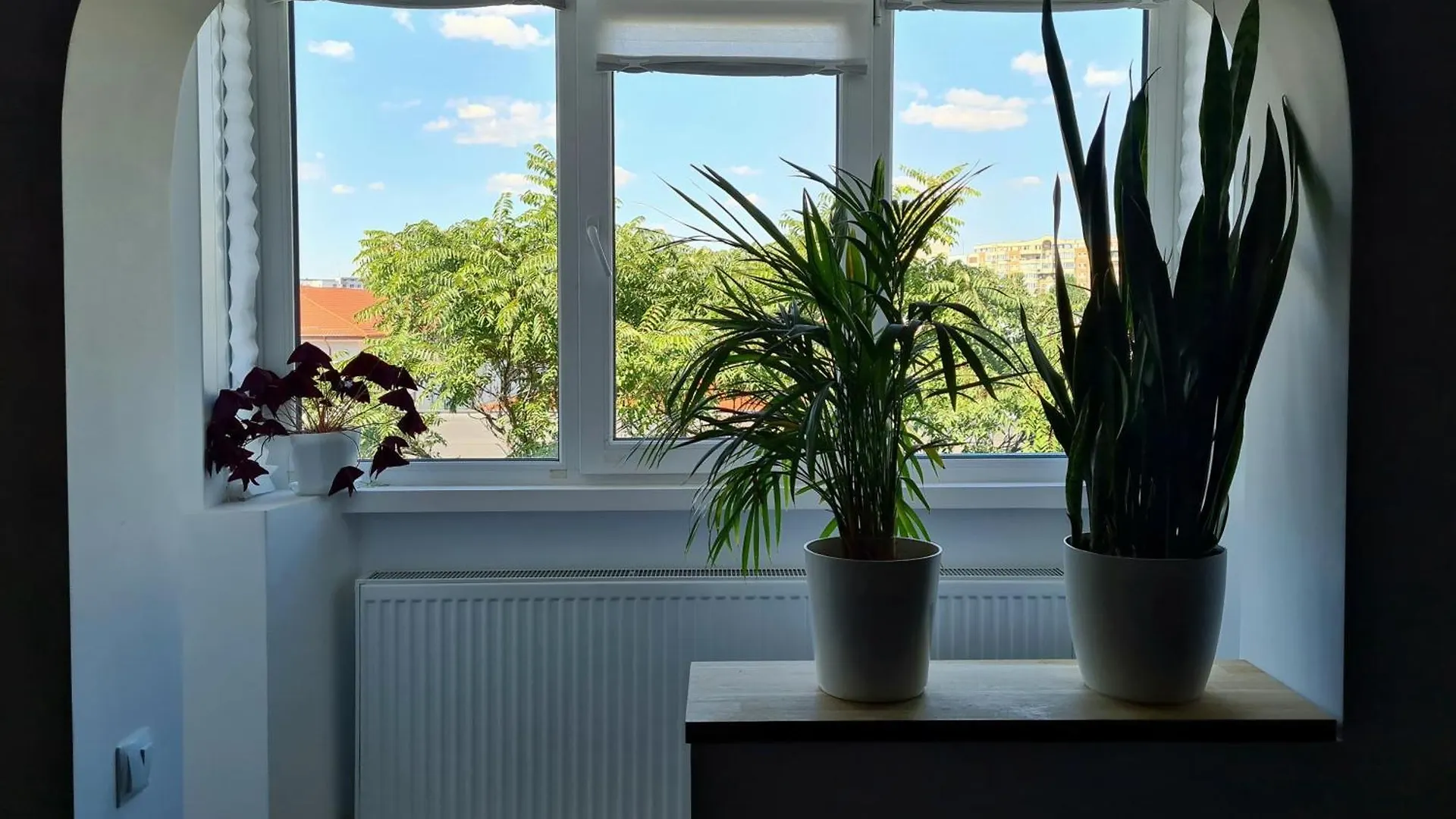 Apartment In Dristor Area Bucarest 0*,